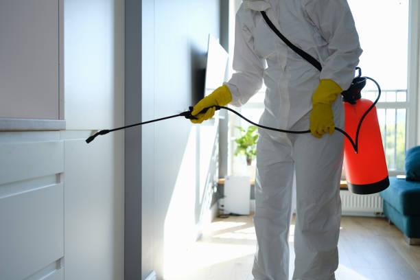 Home Mold Removal in Coral Terrace, FL