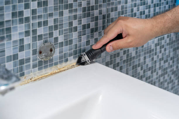 Best Best Mold Removal Companies  in Coral Terrace, FL