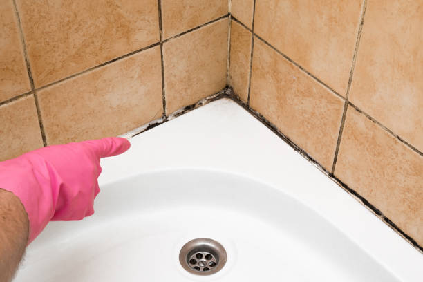 Best Certified Mold Removal  in Coral Terrace, FL